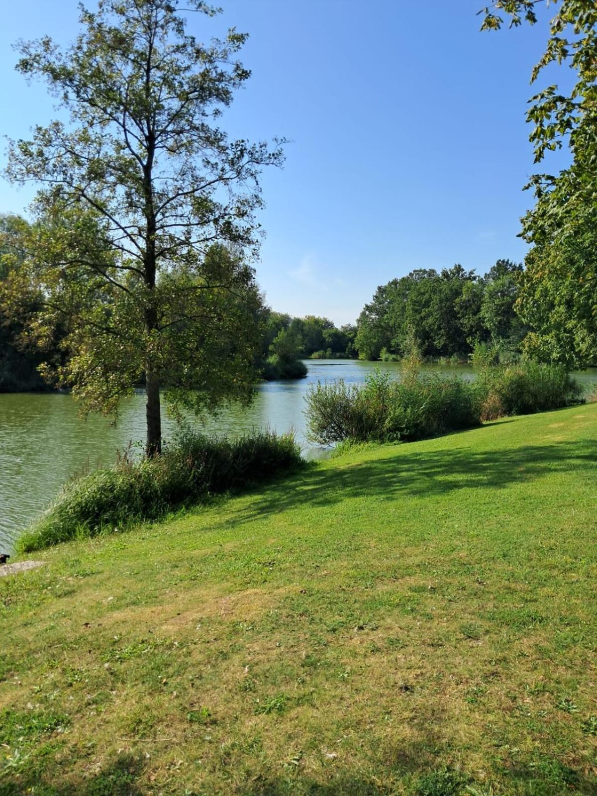 Green Home Wieze Bagian luar foto